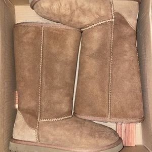 chestnut tall uggs
